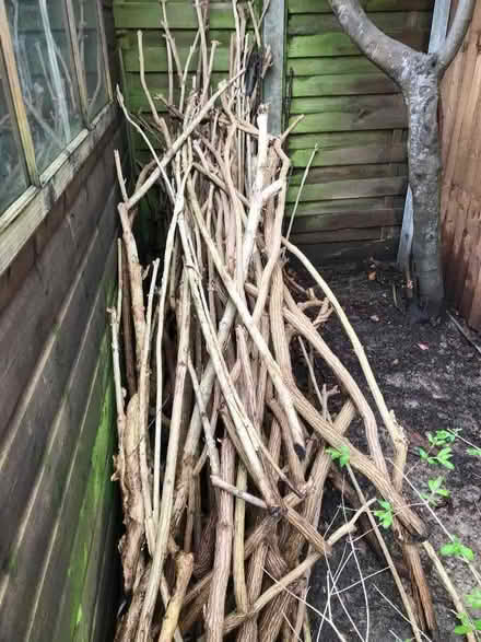 Photo of free Sticks for kindling or garden (Middleton on Sea PO22) #2