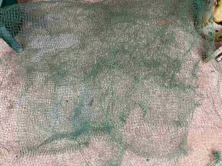 Photo of free Green plastic netting (Cheadle Hulme SK8) #2