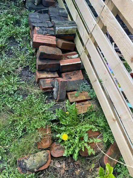 Photo of free Bricks (Crookes S10) #1