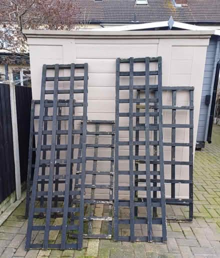 Photo of free Trellis (Gidea Park) #1