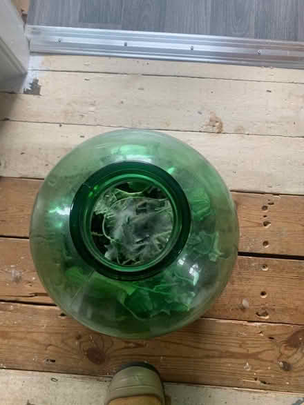 Photo of free Large glass bowl with plastic plants (Stafford ST17) #2