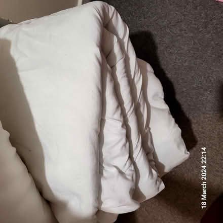 Photo of free Pillows and divet (E16) #3