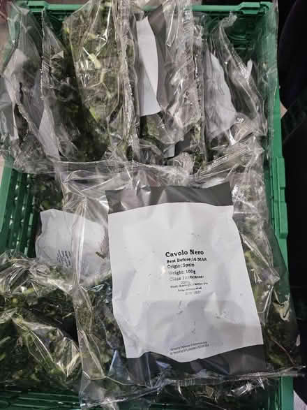 Photo of free Cavalo Nero Kale. BB:16/03/24 (UB5) #1