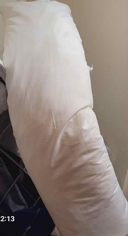 Photo of free Pillows and divet (E16) #2