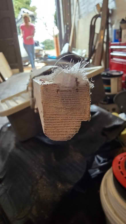 Photo of free New wooden window draught-proofing strips (New Bradwell MK13) #1
