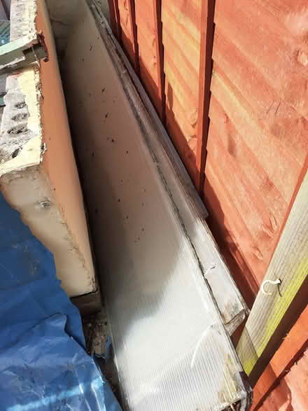 Photo of free Polycarbonate panels and doors (Eston TS6) #1