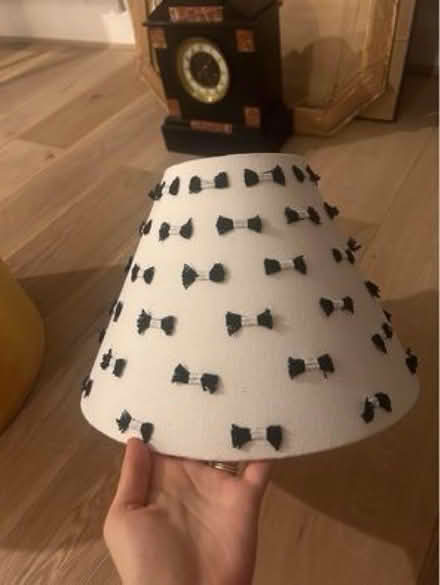 Photo of free Lampshades (N8) #4