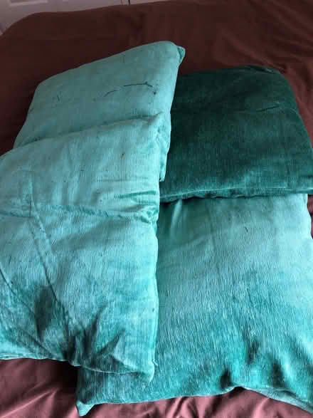 Photo of free Set of 4 large cushions and covers (Abingdon OX14) #1