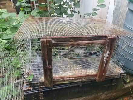 Photo of free Small Animal Cage (Lovedean PO8) #1