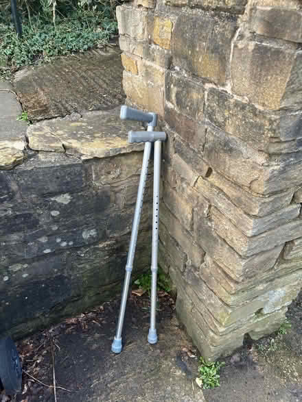Photo of free Walking sticks (BD20) #1