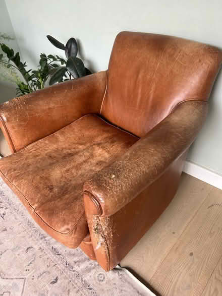 Photo of free Leather chair- very worn (BN1 (off Dyke Road)) #1