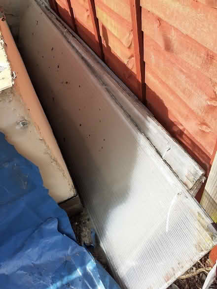 Photo of free Polycarbonate panels and doors (Eston TS6) #3