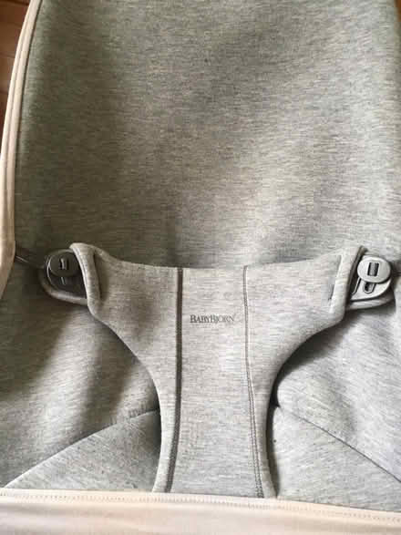Photo of free BabyBjörn Bouncer (W13) #2