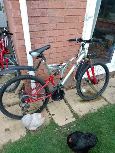 Photo of free Mountain bike (Colwyn Bay LL29) #1