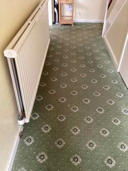 Photo of free Carpets, lots! (Kendal LA9) #1