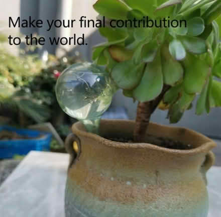 Photo of free Self watering bubbles (Brockley SE4) #2