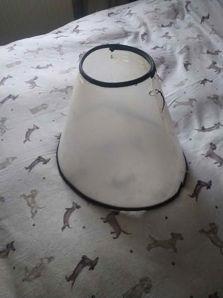 Photo of free Medical Dog Cone (Gosport PO12) #1