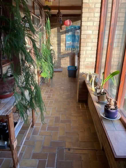 Photo of free Indoor plants (Hartburn Village TS18) #2
