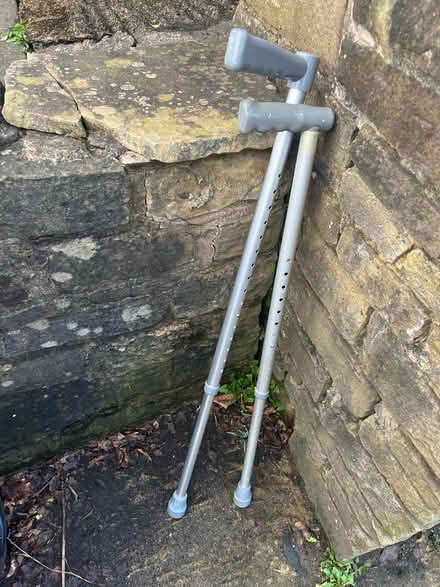Photo of free Walking sticks (BD20) #2