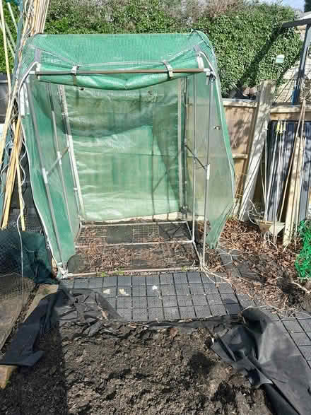Photo of free Tomato Growhouse (Bridgnorth High Town WV16) #1