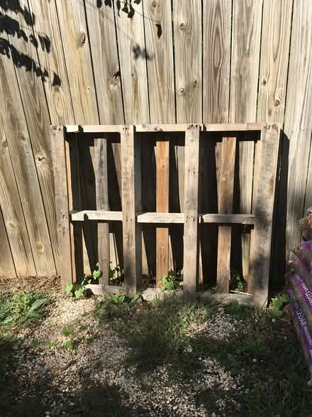 Photo of free wooden pallet (Ruckersville) #1