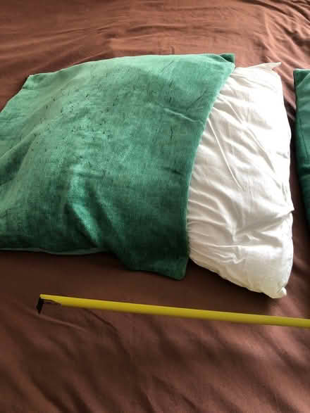 Photo of free Set of 4 large cushions and covers (Abingdon OX14) #3
