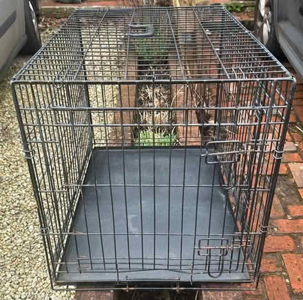 Photo of free Dog Crate Dog Cage (Haslemere) #1