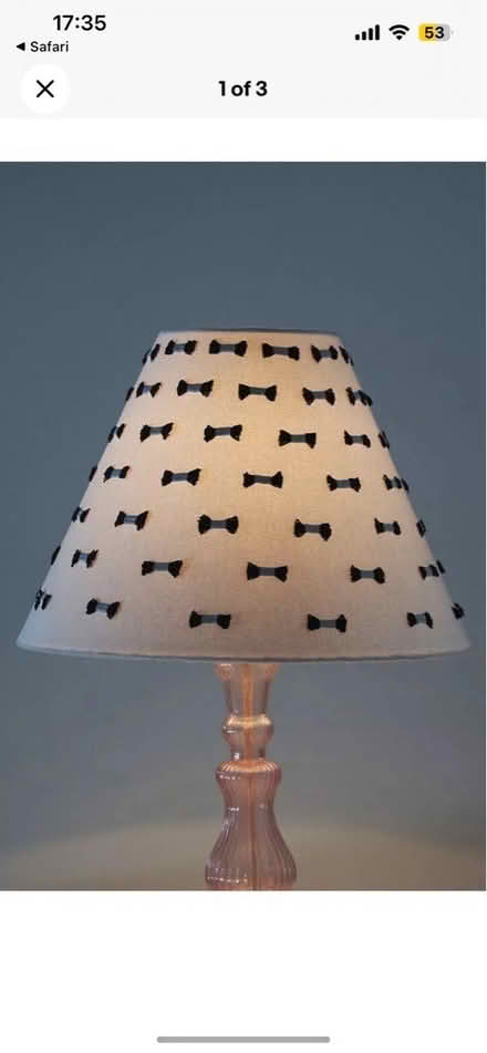 Photo of free Lampshades (N8) #3