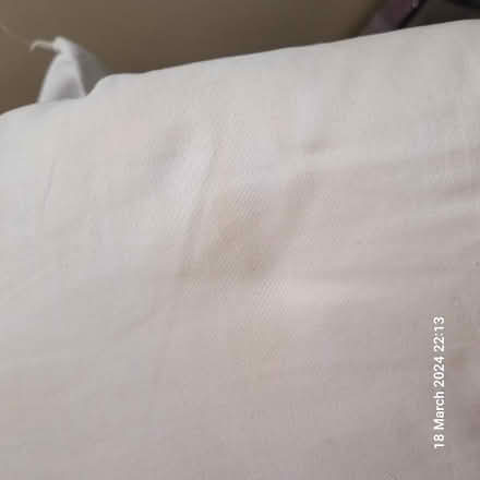 Photo of free Pillows and divet (E16) #4