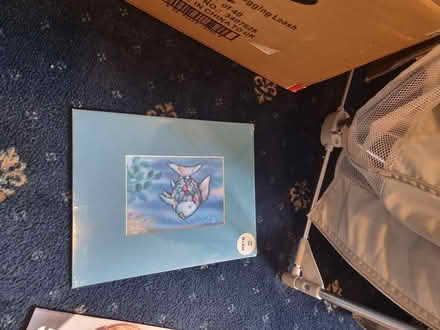 Photo of free Card board picture needs mount (DY6) #1