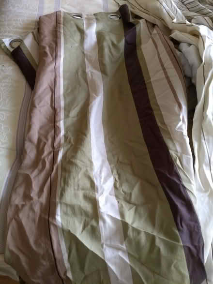 Photo of free Lined curtains (Loughton IG10) #2