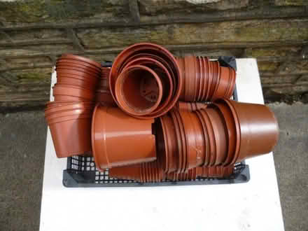 Photo of free plant pots (Starbeck HG2) #2