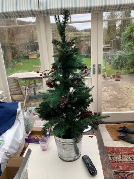 Photo of free artificial Christmas tree in pot (Skirmett RG9) #1