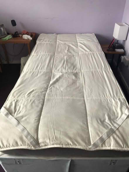 Photo of free Faux sheep skin mattress protector (Buckland TQ12) #1