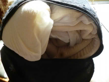 Photo of free mattress topper (rolls up to fit in a bag) (Starbeck HG2) #1