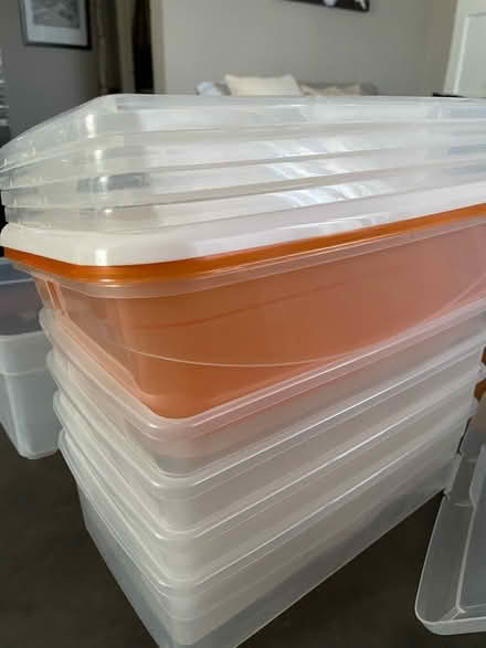 Photo of free Shoe containers (Bergenfield NJ) #1