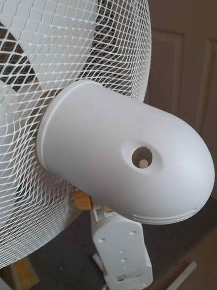 Photo of free Tall free standing fan (Allenton) #3