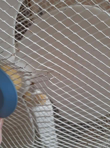 Photo of free Tall free standing fan (Allenton) #2