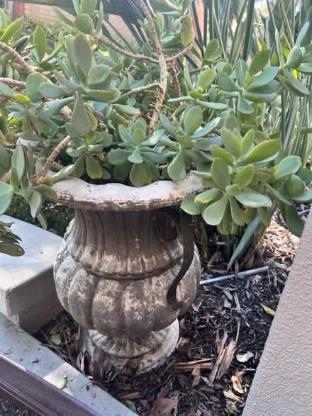 Photo of free Big planters (Quail Hill, Irvine) #3