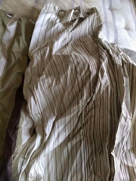 Photo of free Lined curtains (Loughton IG10) #1
