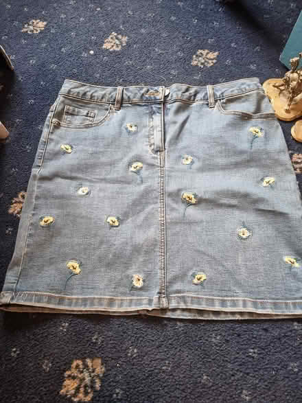 Photo of free Denim skirt (DY6) #1