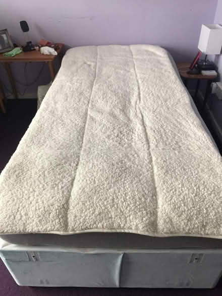 Photo of free Faux sheep skin mattress protector (Buckland TQ12) #2