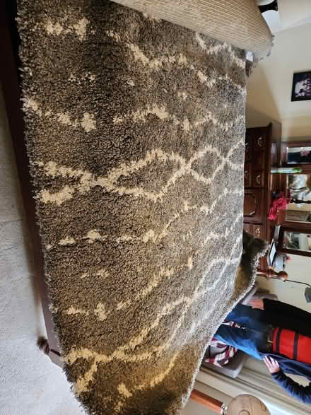 Photo of free 7 x 10 ft area rug (Burton Valley) #1