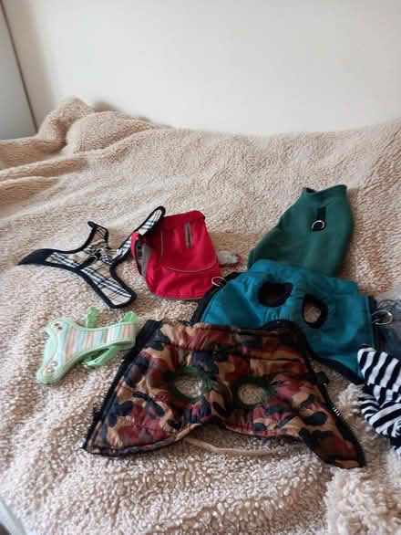 Photo of free X small puppy bits ,puppy carrier (Totnes) #1