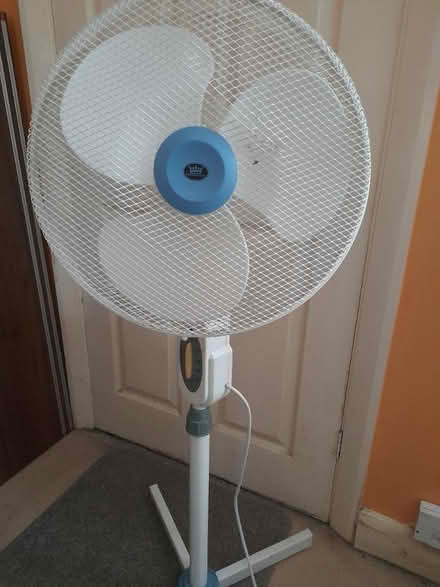 Photo of free Tall free standing fan (Allenton) #1