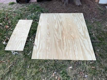Photo of free Plywood (Falls Road Park) #1