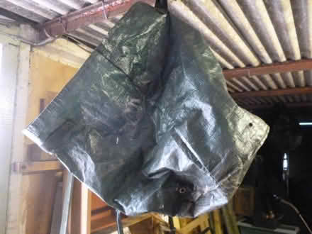 Photo of planting sacks (Starbeck HG2) #1