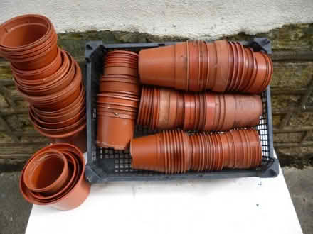 Photo of free plant pots (Starbeck HG2) #1