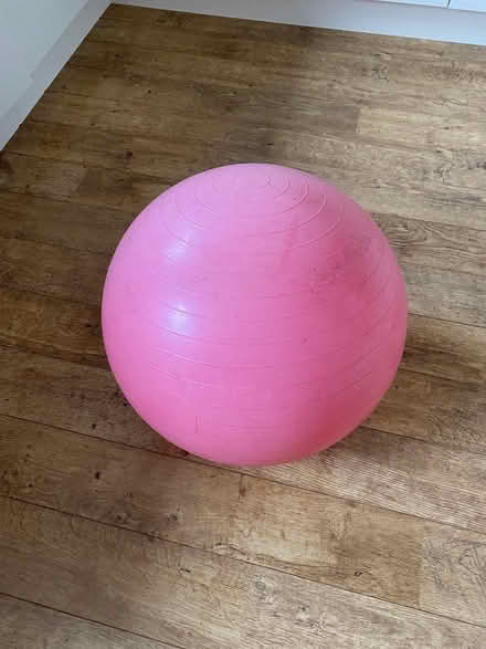 Photo of free Exercise ball (Barrow nr Whalley BB7) #1