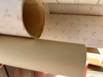 Photo of free Vintage Wallpaper Remnants (NW DC Friendship/Chevy Chase) #4